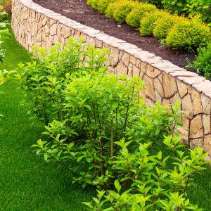 Landscaping    