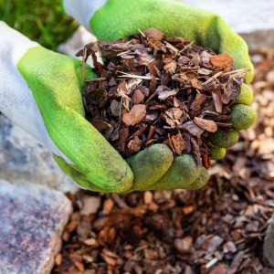 Mulching